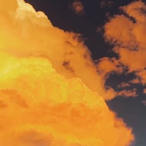 Meet your Posher, Rae